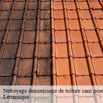 Nettoyage demoussage de toiture sans produit chimique Lemanique  AJ Suisse