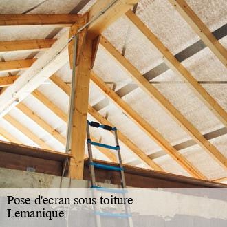 Pose d'ecran sous toiture Lemanique  AJ Suisse