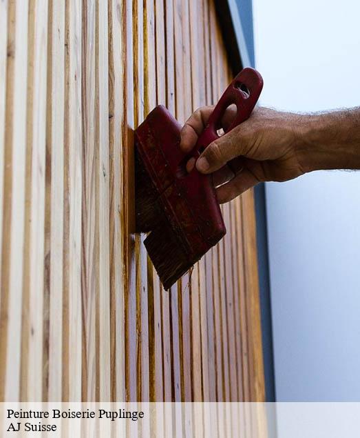 Peinture Boiserie  puplinge-1241 AJ Suisse