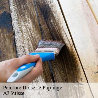 Peinture Boiserie  puplinge-1241 AJ Suisse