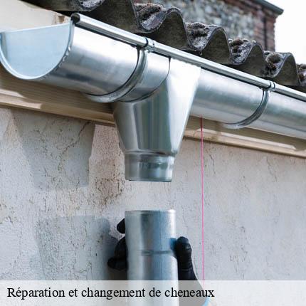 Réparation et changement de cheneaux  aire-la-ville-1288 AJ Suisse