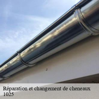 Réparation et changement de cheneaux  st-sulpice-1025 AJ Suisse