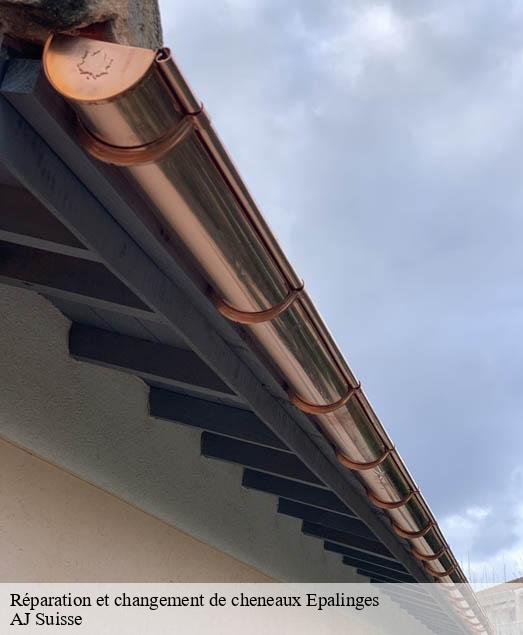 Réparation et changement de cheneaux  epalinges-1066 AJ Suisse