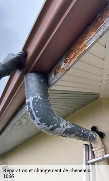 Réparation et changement de cheneaux  epalinges-1066 AJ Suisse