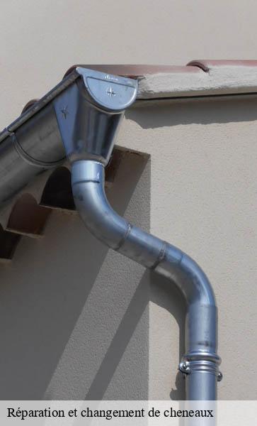 Réparation et changement de cheneaux  epalinges-1066 AJ Suisse