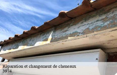 reparation-et-changement-de-cheneaux