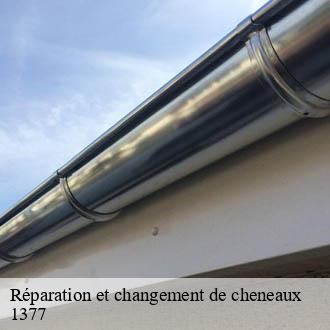 Réparation et changement de cheneaux  oulens-sous-echallens-1377 AJ Suisse