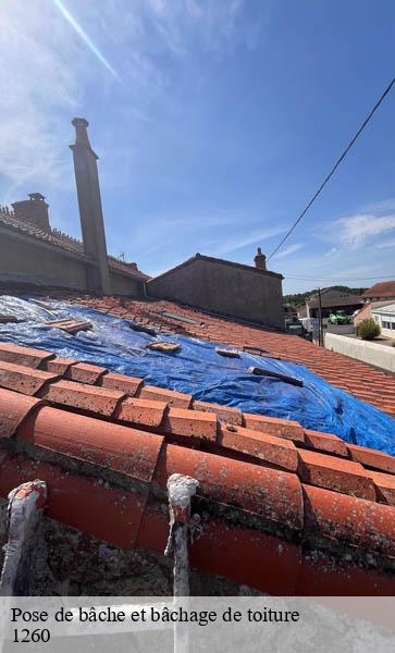 Pose de bâche et bâchage de toiture  nyon-1260 AJ Suisse