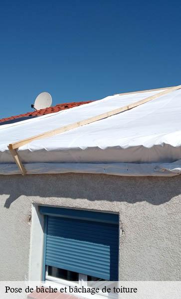 Pose de bâche et bâchage de toiture  nyon-1260 AJ Suisse