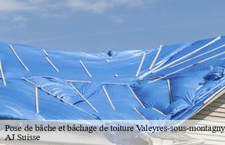 pose-de-bache-et-bachage-de-toiture