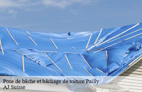 pose-de-bache-et-bachage-de-toiture