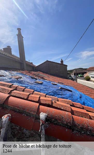 Pose de bâche et bâchage de toiture  choulex-1244 AJ Suisse