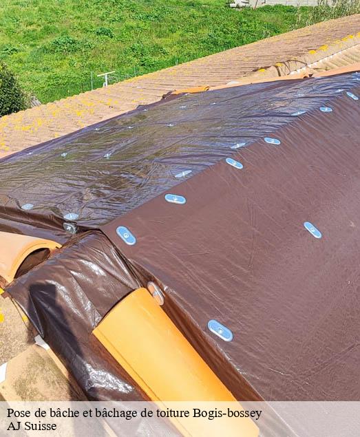 Pose de bâche et bâchage de toiture  bogis-bossey-1279 AJ Suisse