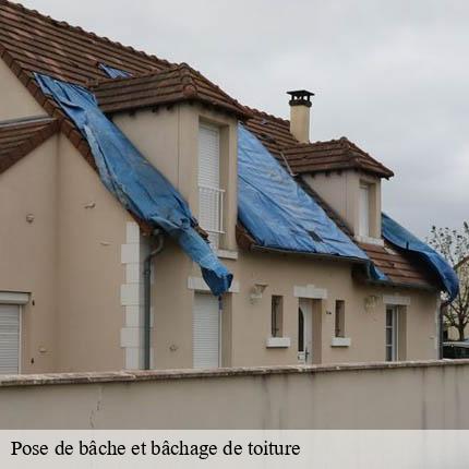 Pose de bâche et bâchage de toiture  vallamand-1586 AJ Suisse