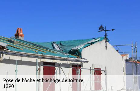 pose-de-bache-et-bachage-de-toiture