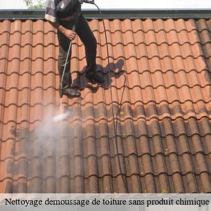 Nettoyage demoussage de toiture sans produit chimique  penthaz-1303 AJ Suisse