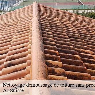 Nettoyage demoussage de toiture sans produit chimique  penthaz-1303 AJ Suisse