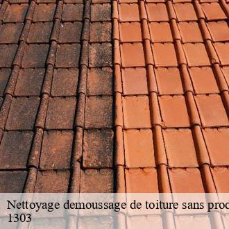 Nettoyage demoussage de toiture sans produit chimique  penthaz-1303 AJ Suisse