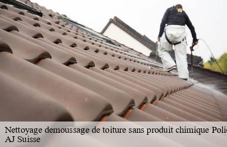 nettoyage-demoussage-de-toiture-sans-produit-chimique