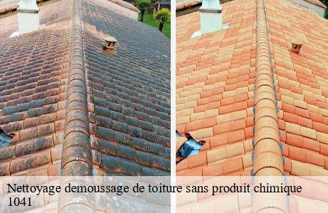 nettoyage-demoussage-de-toiture-sans-produit-chimique