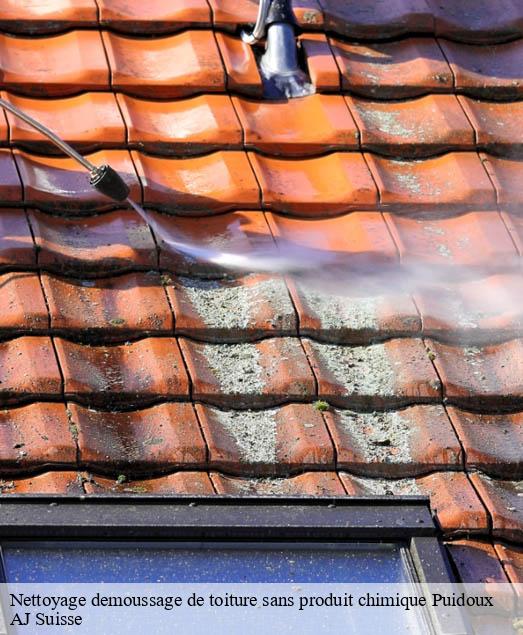 Nettoyage demoussage de toiture sans produit chimique  puidoux-1070 AJ Suisse