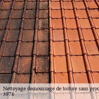 Nettoyage demoussage de toiture sans produit chimique  mollens-3974 AJ Suisse