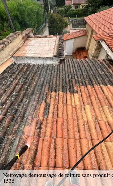 Nettoyage demoussage de toiture sans produit chimique  combremont-le-petit-1536 AJ Suisse