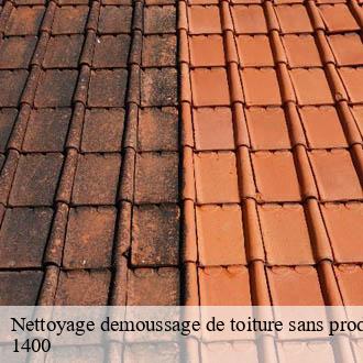 Nettoyage demoussage de toiture sans produit chimique  cheseaux-noreaz-1400 AJ Suisse