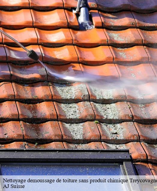Nettoyage demoussage de toiture sans produit chimique  treycovagnes-1436 AJ Suisse