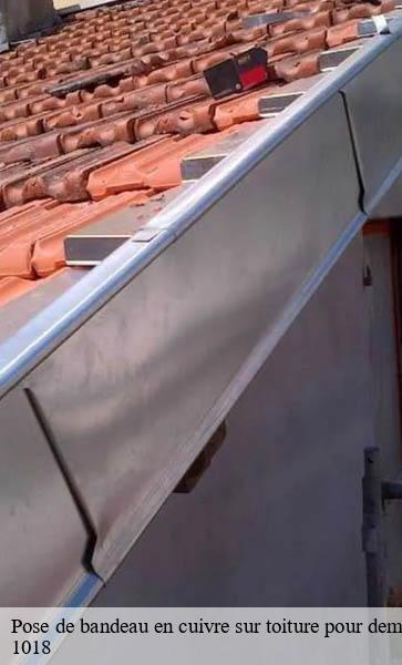 Pose de bandeau en cuivre sur toiture pour demoussage naturel  lausanne-1018 AJ Suisse