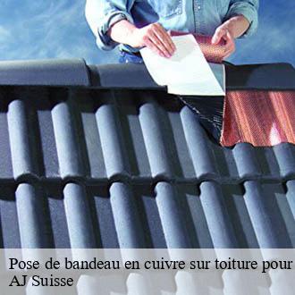 Pose de bandeau en cuivre sur toiture pour demoussage naturel  penthalaz-1305 AJ Suisse