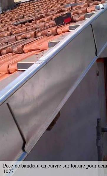 Pose de bandeau en cuivre sur toiture pour demoussage naturel  servion-1077 AJ Suisse