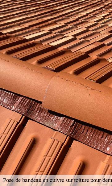 Pose de bandeau en cuivre sur toiture pour demoussage naturel  servion-1077 AJ Suisse