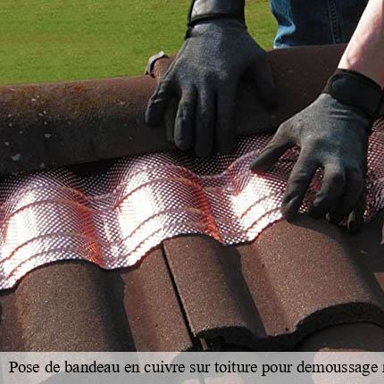 Pose de bandeau en cuivre sur toiture pour demoussage naturel  chevroux-1545 AJ Suisse