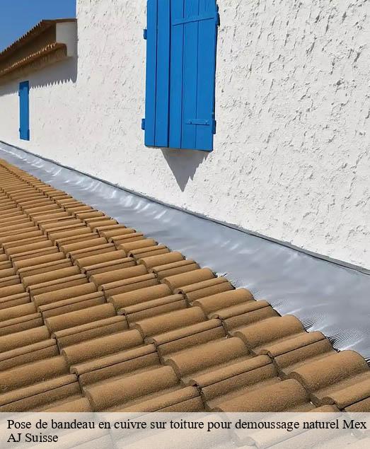 Pose de bandeau en cuivre sur toiture pour demoussage naturel  mex-1031 AJ Suisse