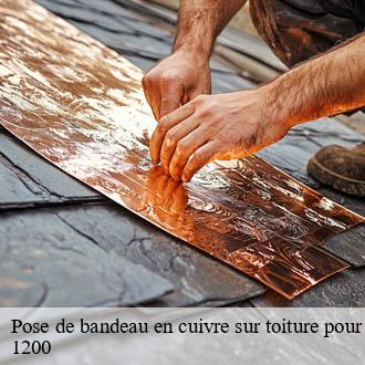 Pose de bandeau en cuivre sur toiture pour demoussage naturel  geneve-1200 AJ Suisse