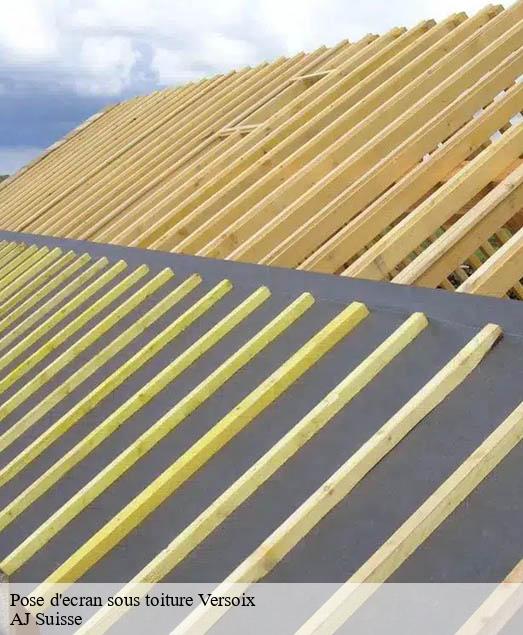 Pose d'ecran sous toiture  versoix-1290 AJ Suisse