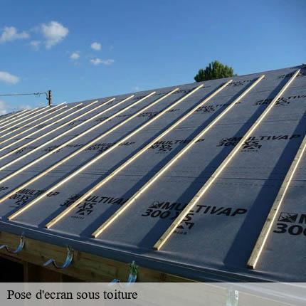 Pose d'ecran sous toiture  versoix-1290 AJ Suisse