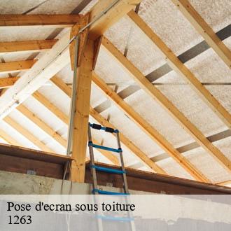 Pose d'ecran sous toiture  crassier-1263 AJ Suisse
