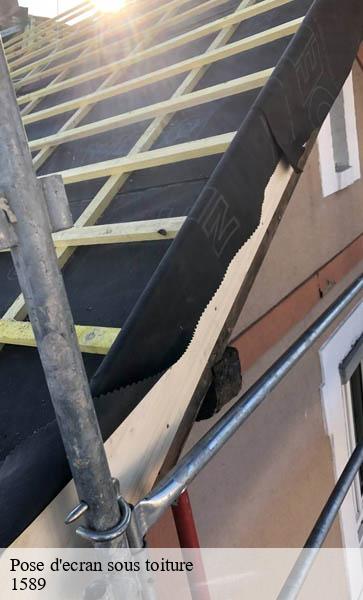 Pose d'ecran sous toiture  chabrey-1589 AJ Suisse