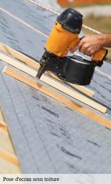 Pose d'ecran sous toiture  chabrey-1589 AJ Suisse