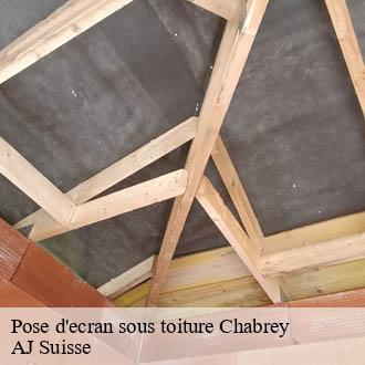 Pose d'ecran sous toiture  chabrey-1589 AJ Suisse
