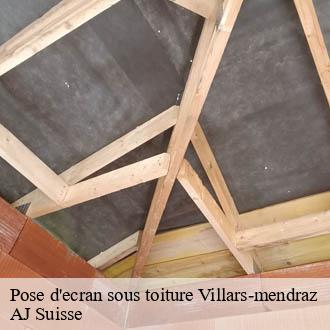 Pose d'ecran sous toiture  villars-mendraz-1061 AJ Suisse
