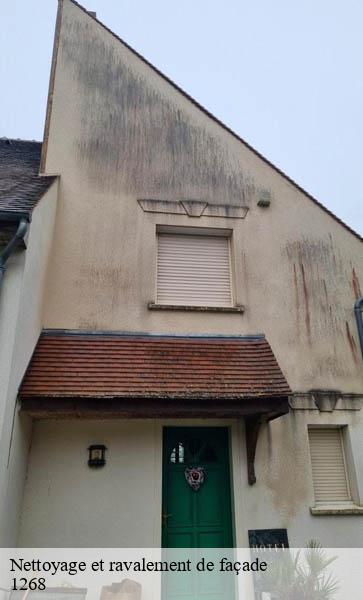 Nettoyage et ravalement de façade  burtigny-1268 AJ Suisse